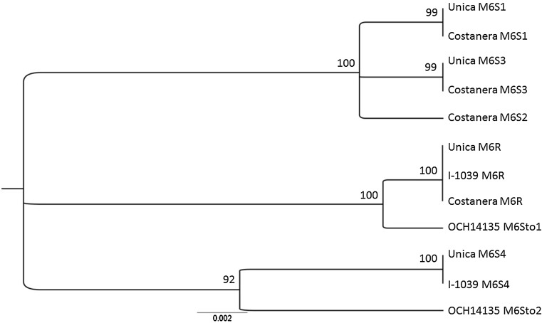 Fig. 1