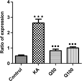 Fig. 2