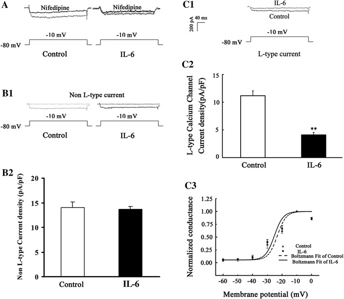 Fig. 2