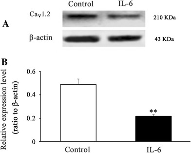 Fig. 4