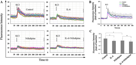 Fig. 3