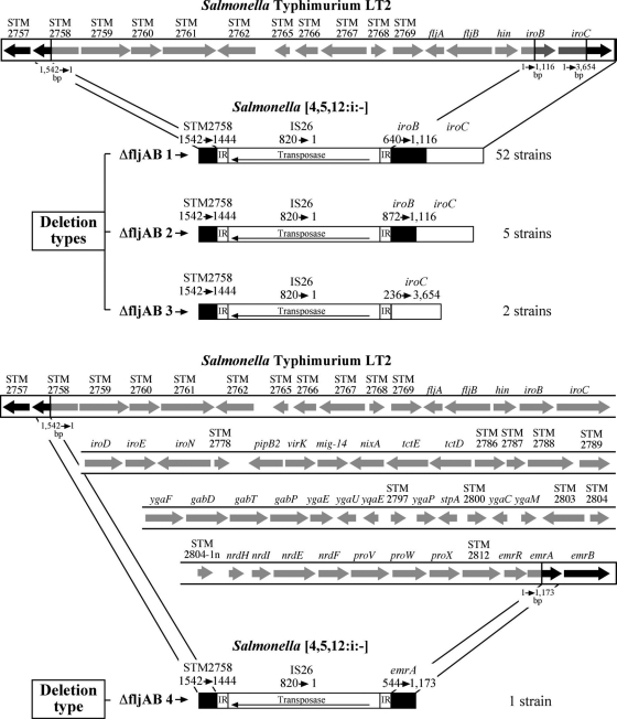 FIG. 2.