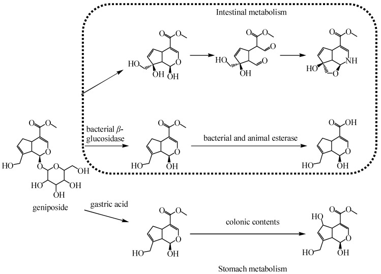 Figure 7