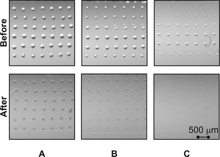 FIG. 3.