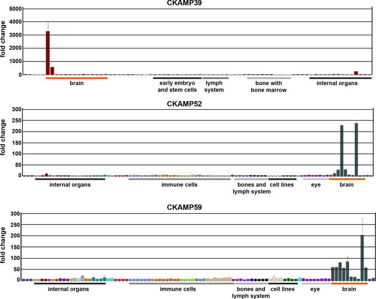 Figure 2—figure supplement 2.