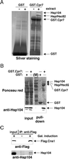 FIG. 1