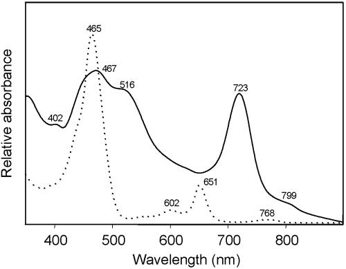 FIG. 5.