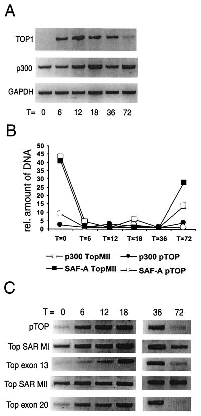 FIG. 5.