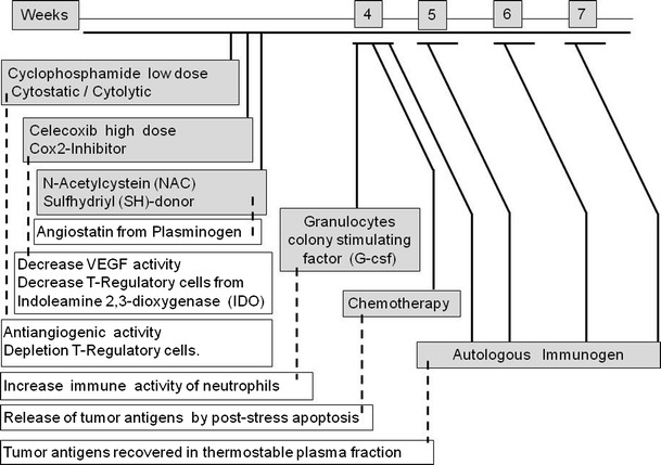 Fig. 1