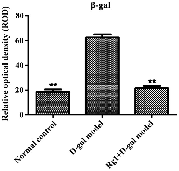 Figure 10.