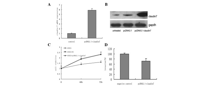 Figure 3.