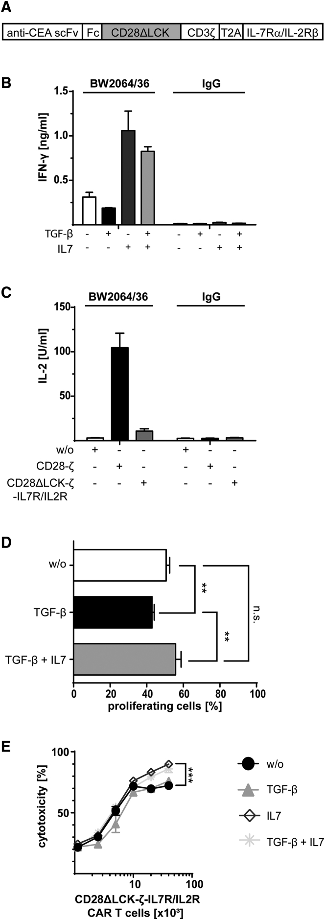 Figure 5