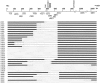 Figure  1