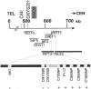 Figure  3