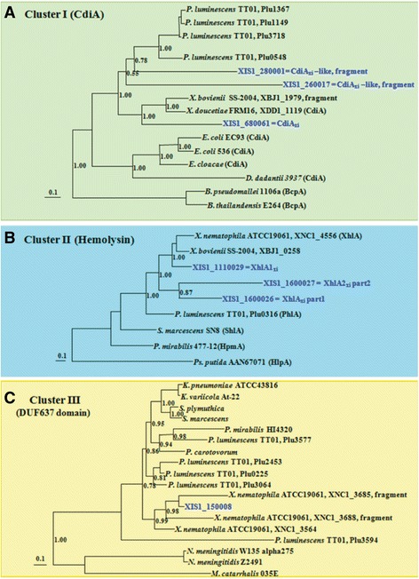 Fig. 5