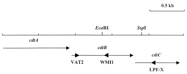 FIG. 1