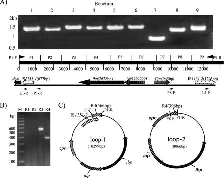 FIG. 5.