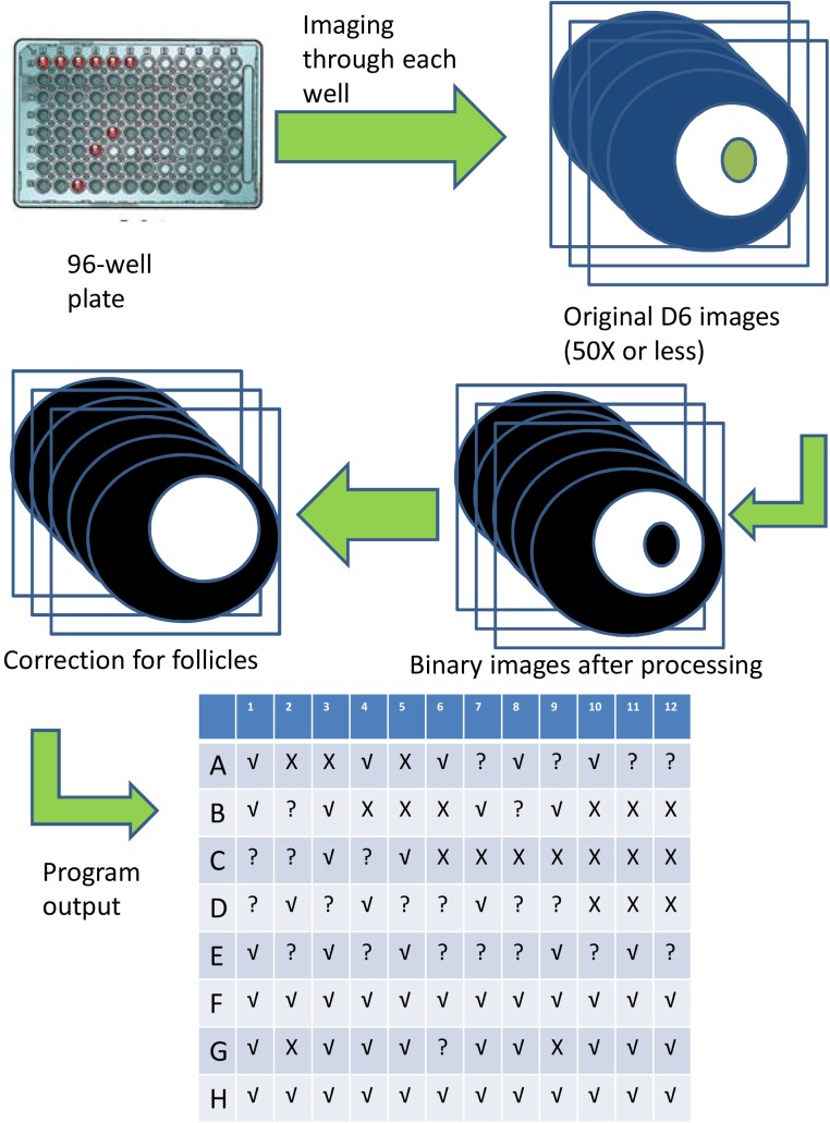 Fig 3