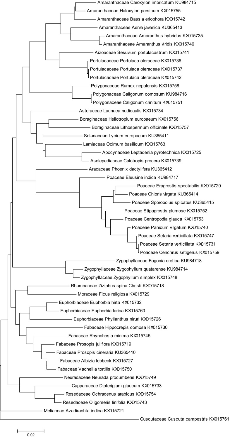 Fig. 2