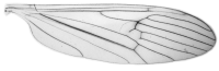 Figure 14.