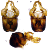 Figure 15.