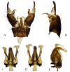 Figure 17.