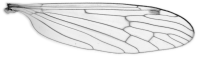Figure 12.
