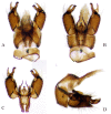 Figure 11.