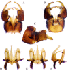 Figure 13.