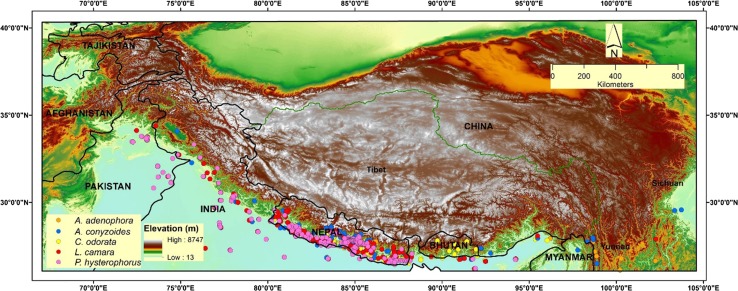 Fig. 1