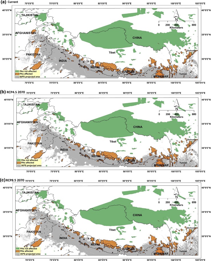 Fig. 3