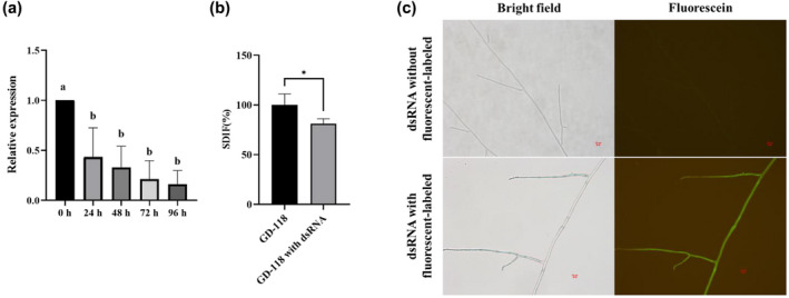 FIGURE 6