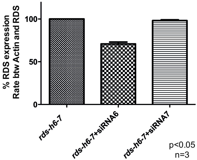 Fig. 29.3