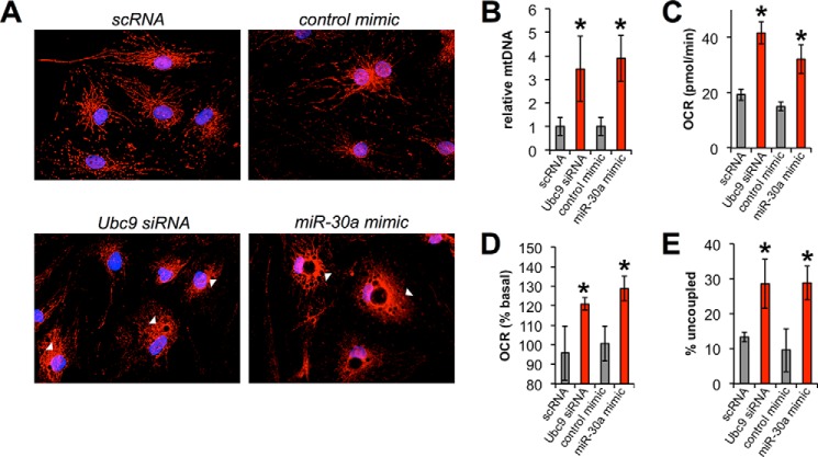 FIGURE 4.