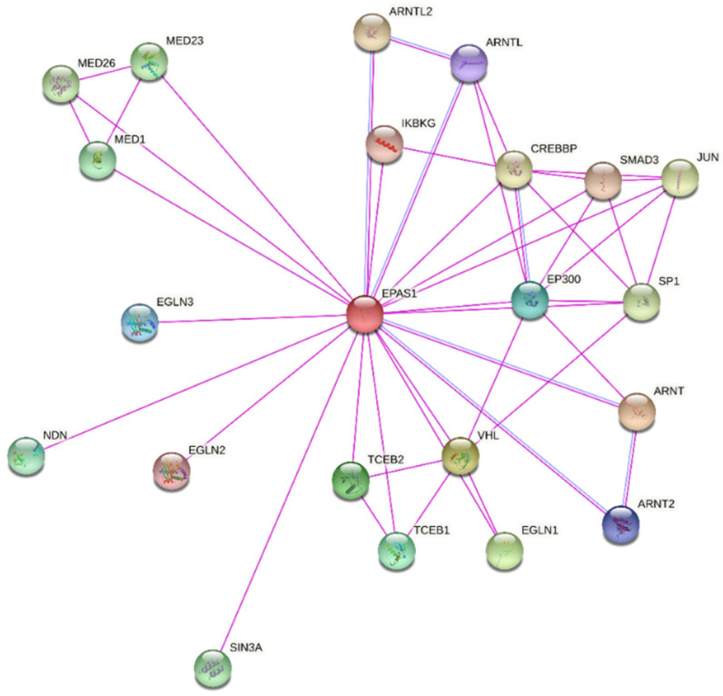 Integration and Visualization of Regulatory Elements and Variations of ...