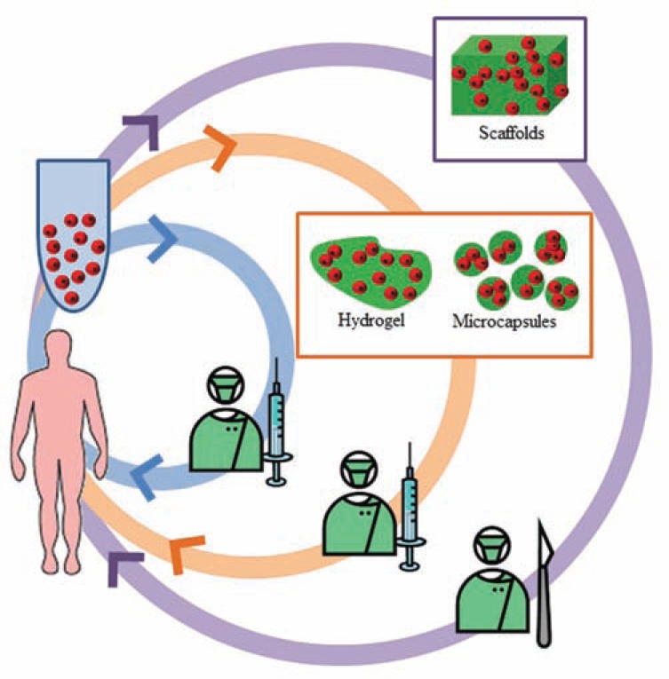 Fig. (1)