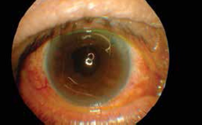 Figure 3.