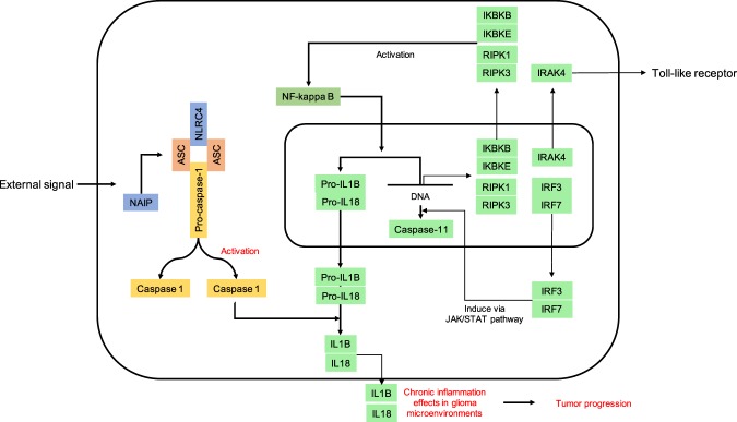 Figure 6