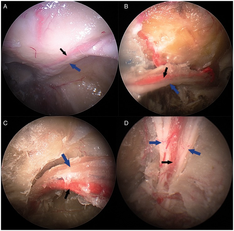 Figure 6.