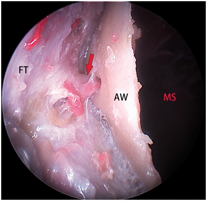 Figure 2.