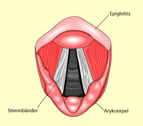 graphic file with name 6376_9_De_8_Fig2_HTML.jpg