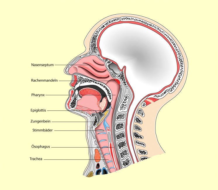 graphic file with name 6376_9_De_8_Fig1_HTML.jpg