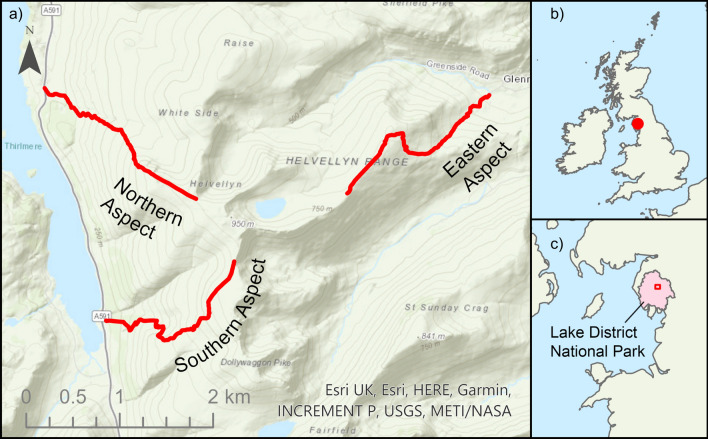 Fig. 1