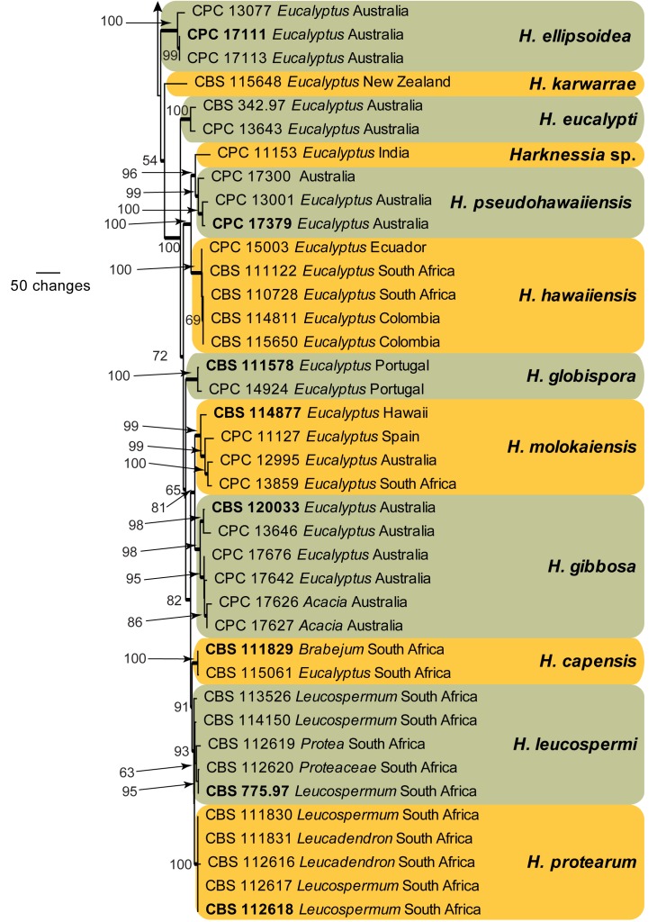 Fig. 5