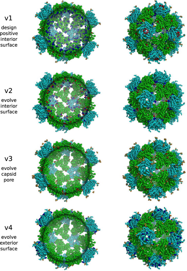 Extended Data Figure 9