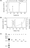 Fig. 1