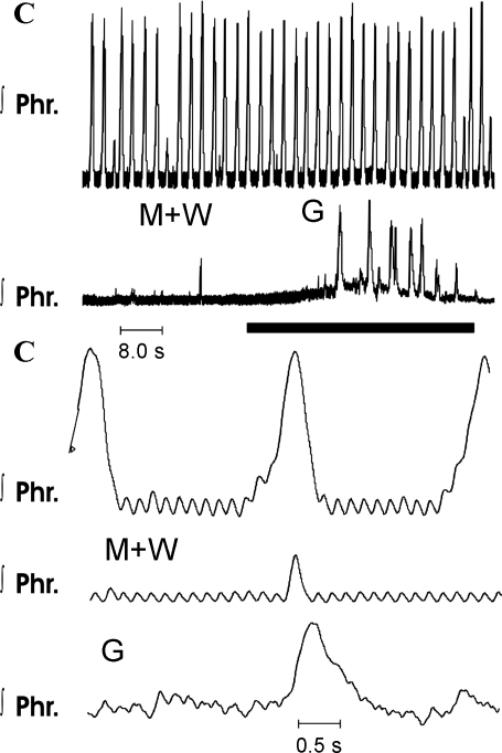 Fig. 11.