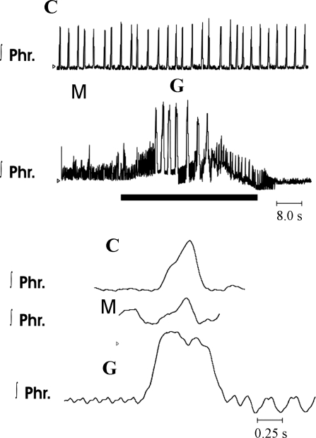 Fig. 8.