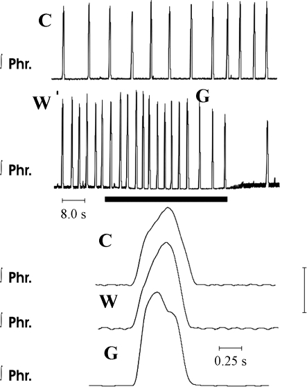 Fig. 10.