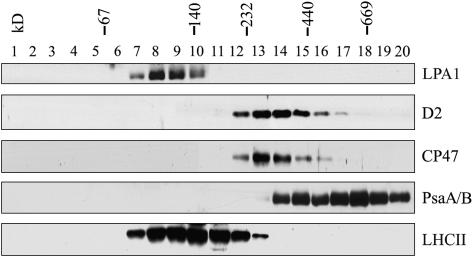 Figure 11.